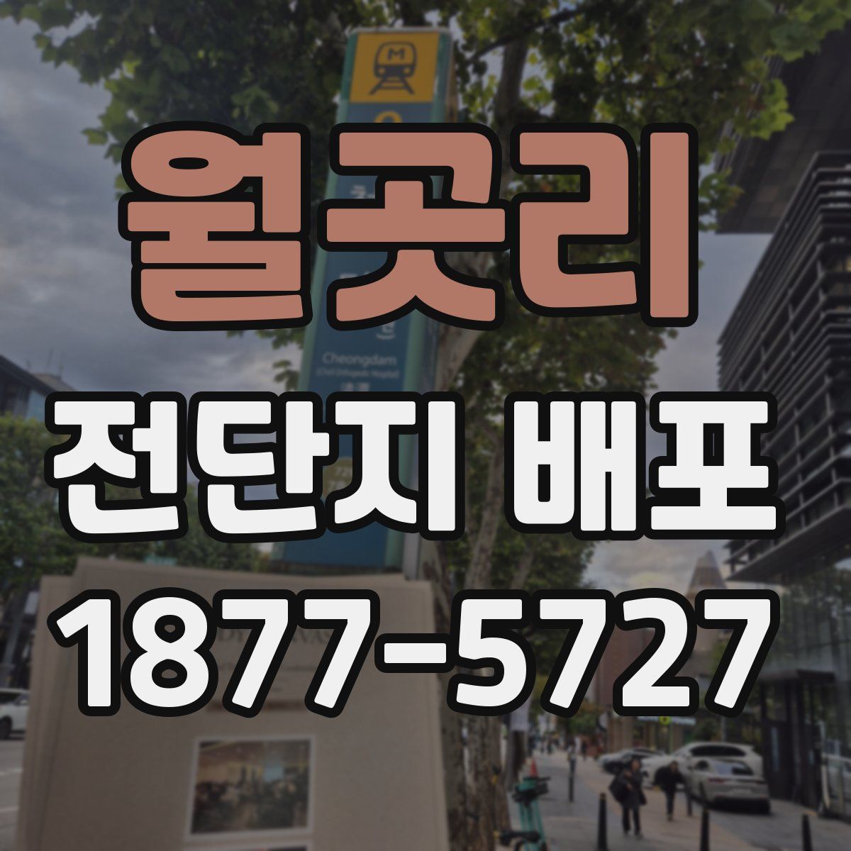 월곳리 전단지 배포