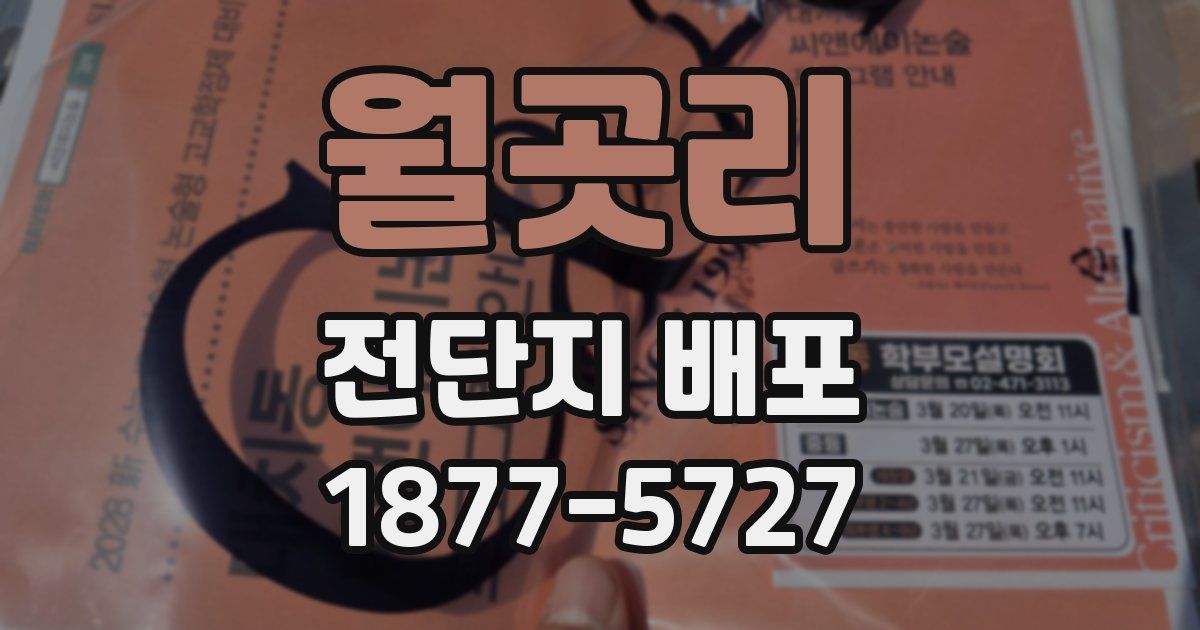 월곳리 전단지 배포