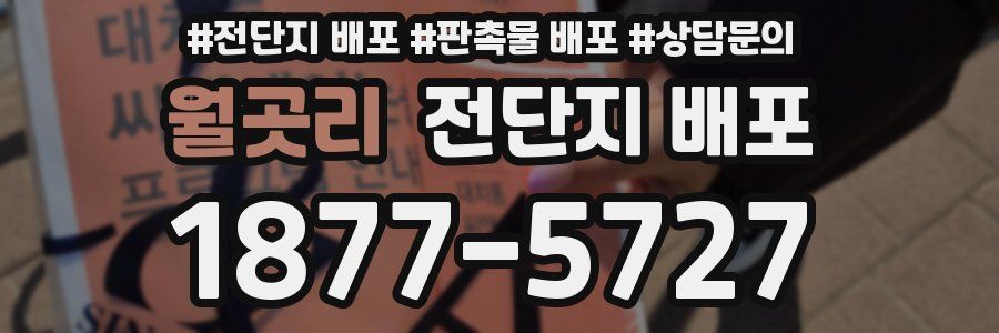 월곳리 전단지 배포