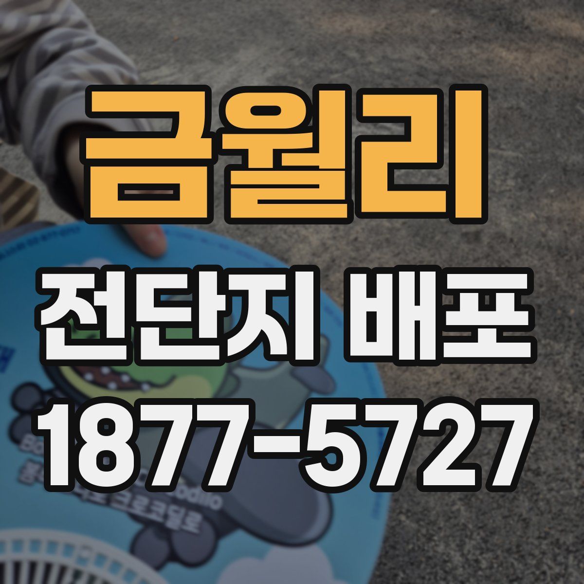 금월리 전단지 배포