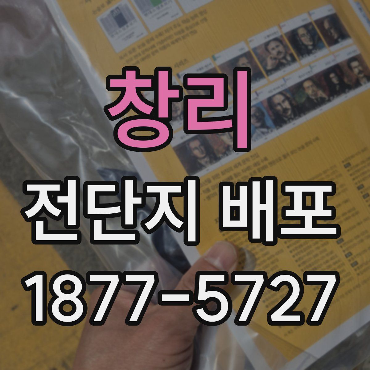 창리 전단지 배포