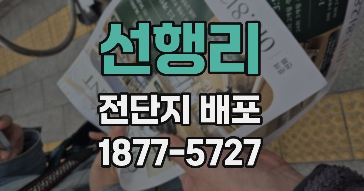 선행리 전단지 배포