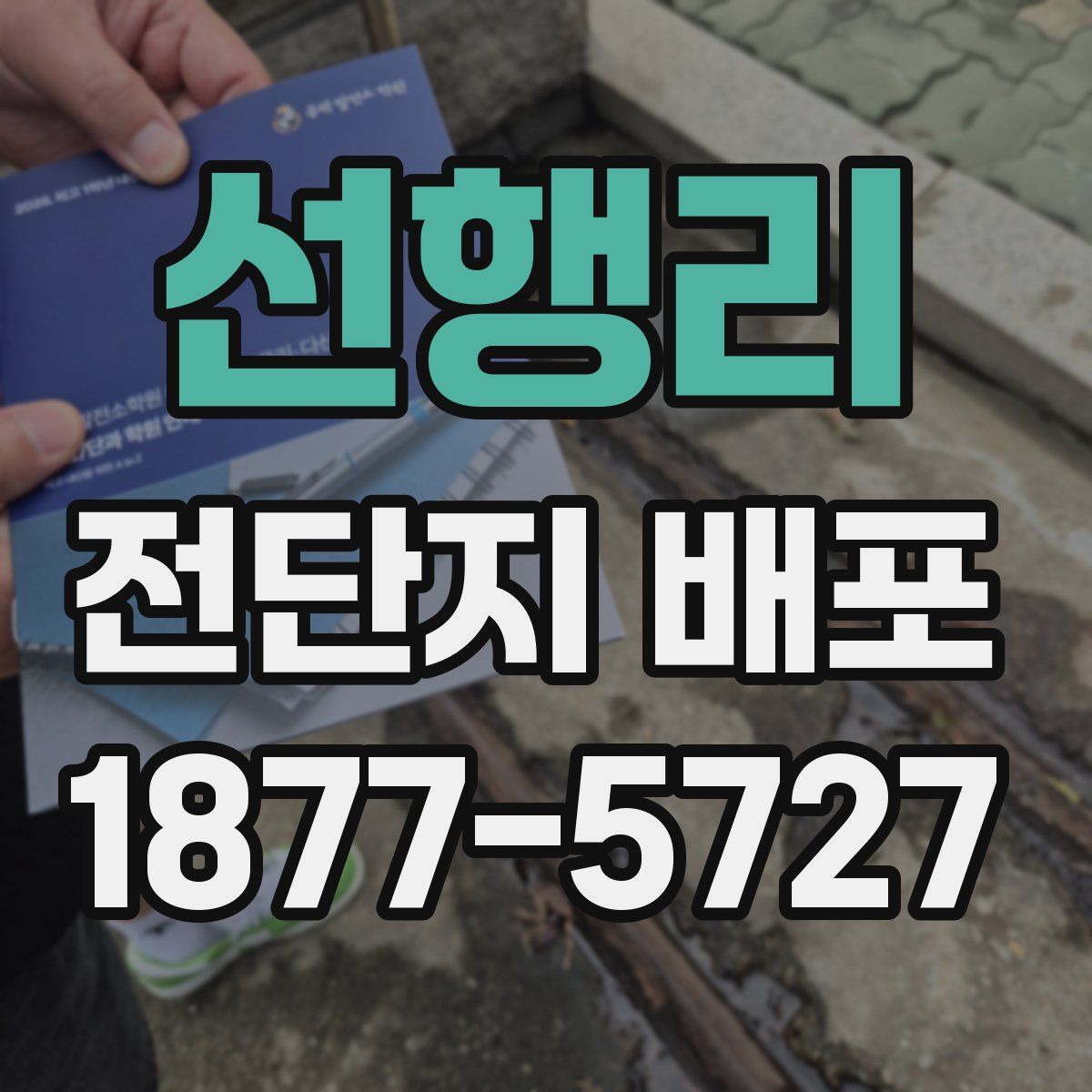 선행리 전단지 배포