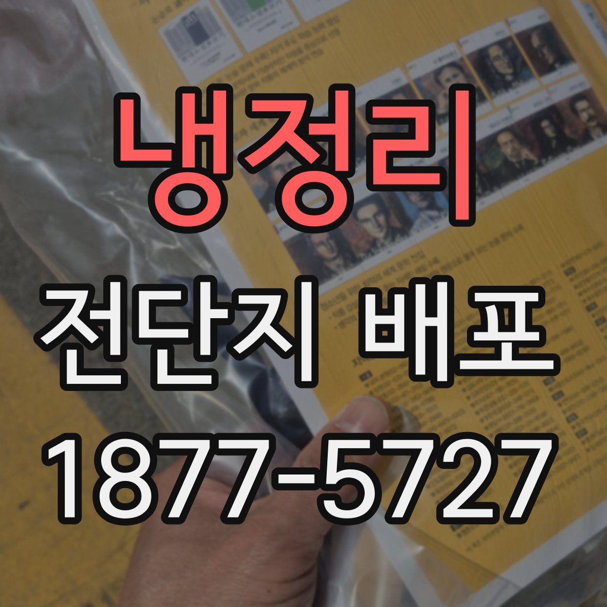 냉정리 전단지 배포