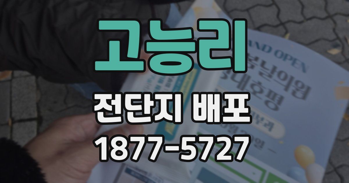고능리 전단지 배포