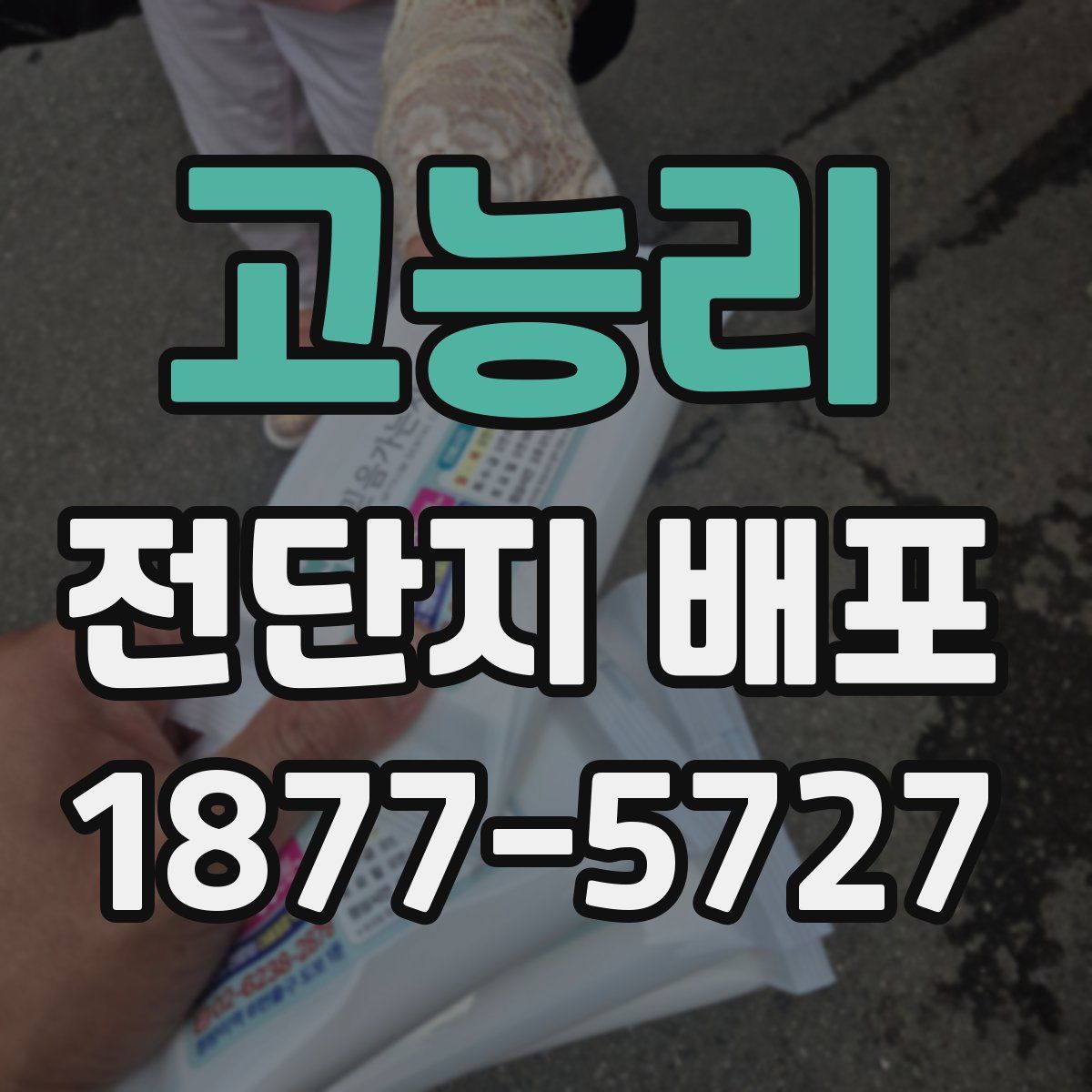 고능리 전단지 배포