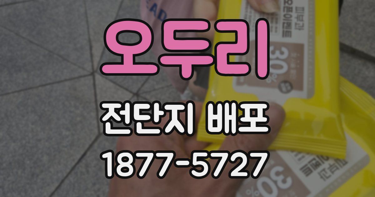 오두리 전단지 배포