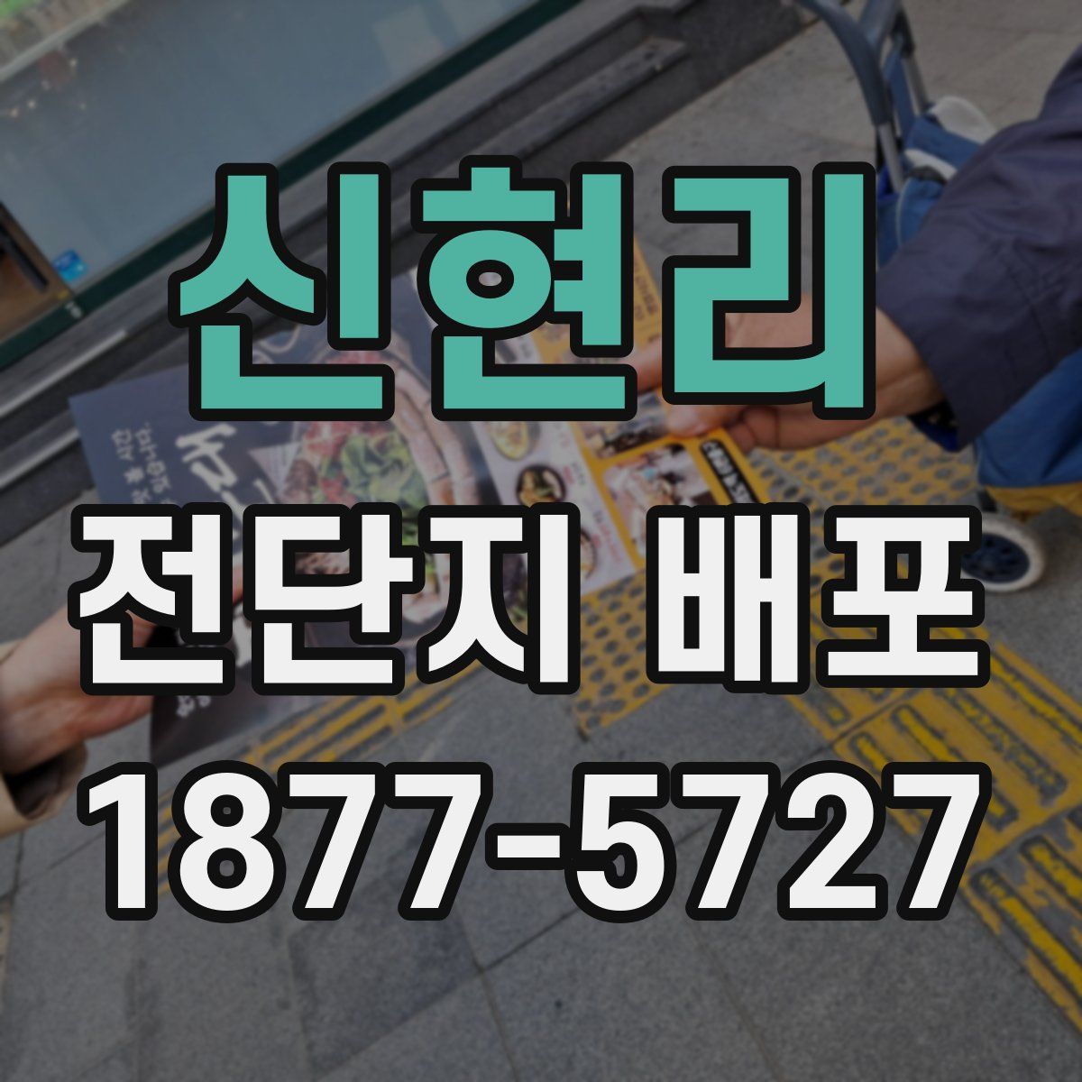 신현리 전단지 배포