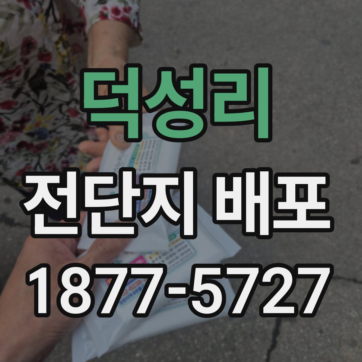 덕성리 전단지 배포