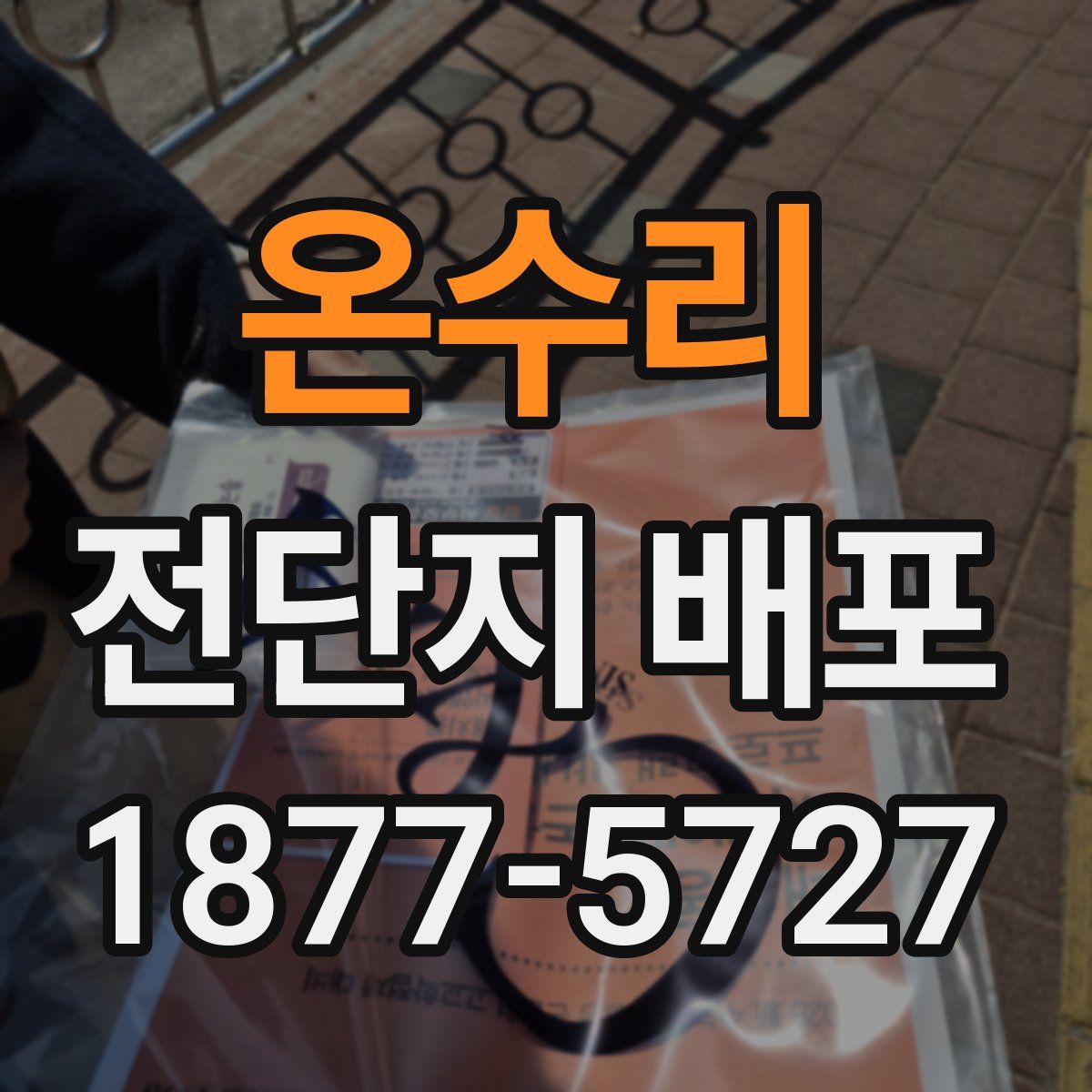 온수리 전단지 배포