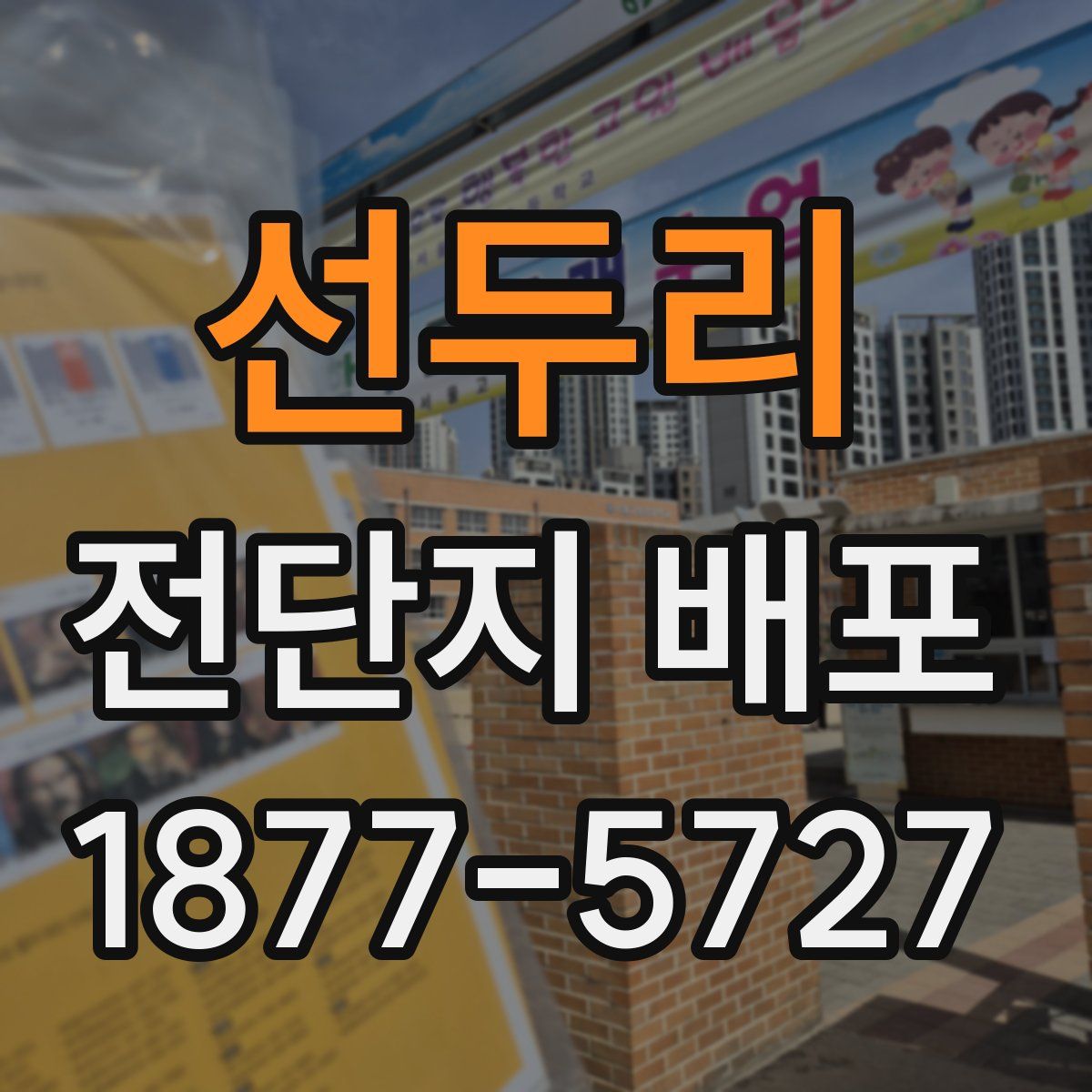 선두리 전단지 배포