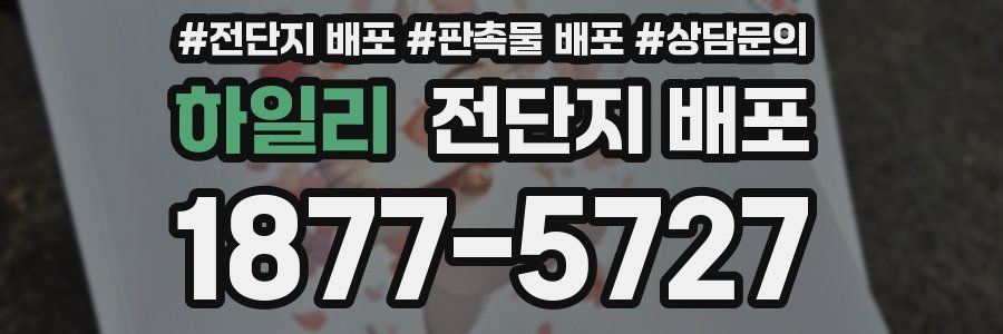 하일리 전단지 배포