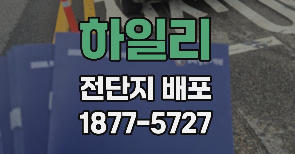 하일리 전단지 배포