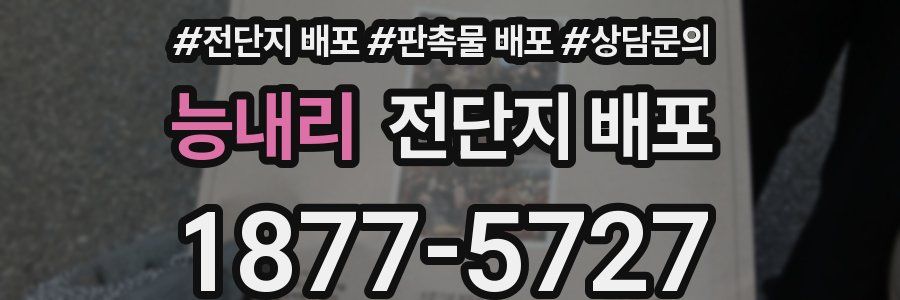 능내리 전단지 배포