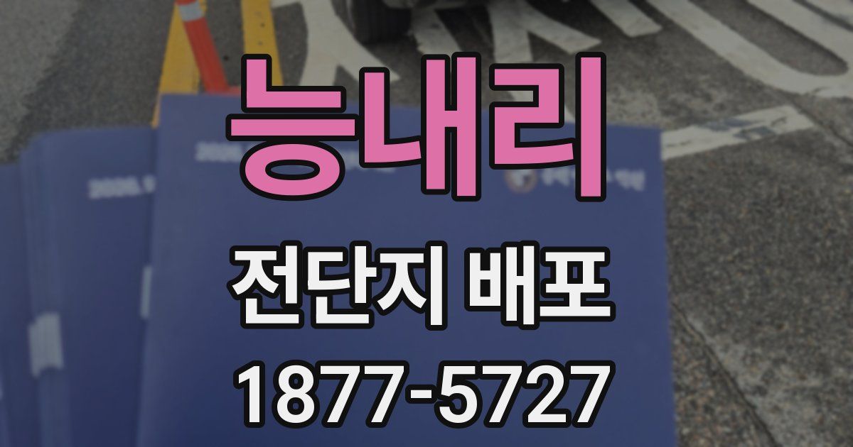 능내리 전단지 배포