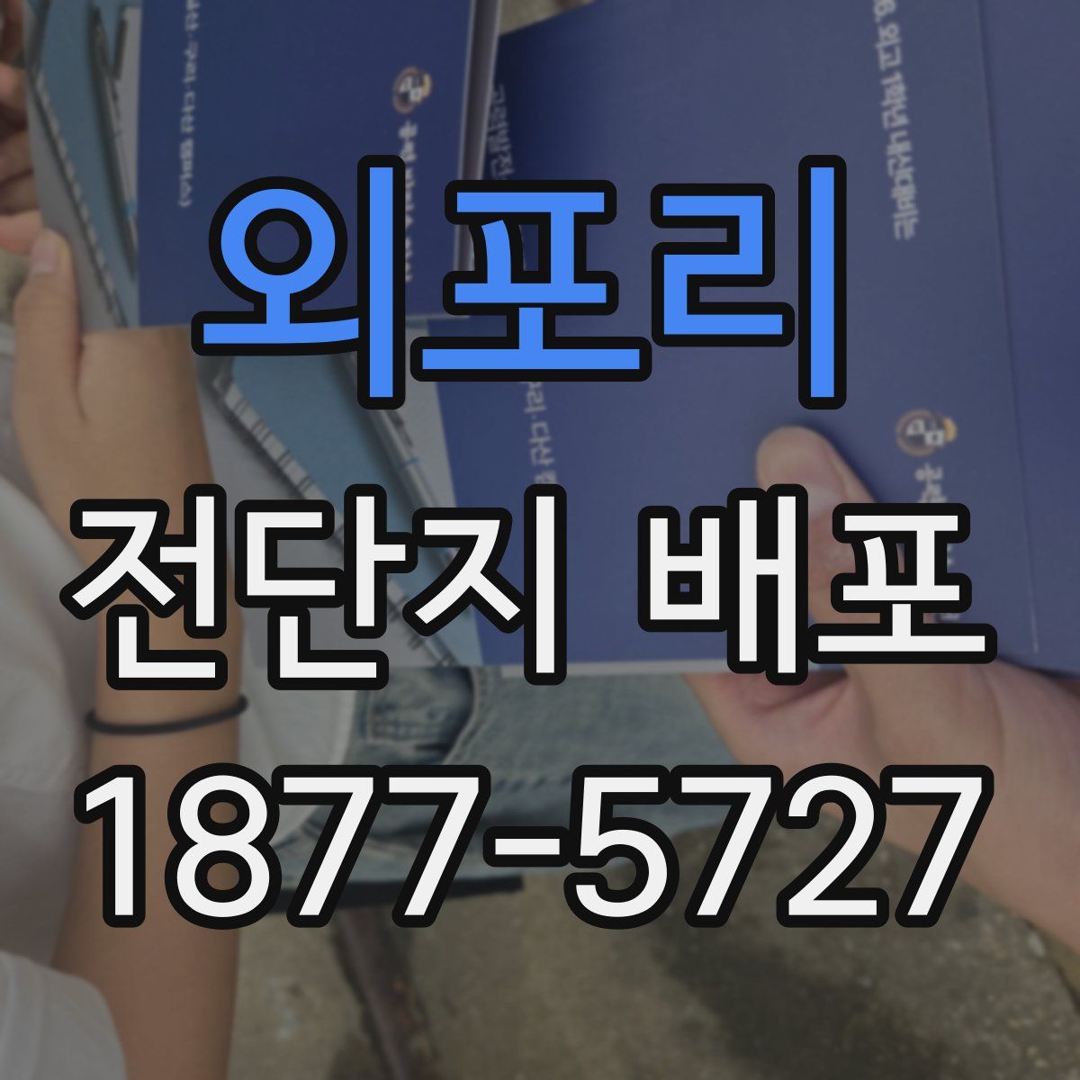 외포리 전단지 배포
