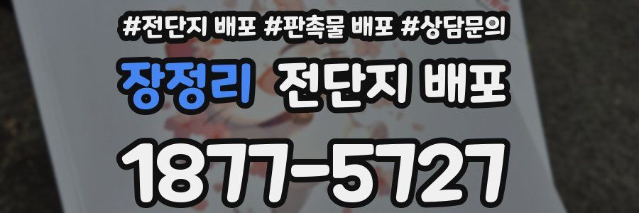 장정리 전단지 배포