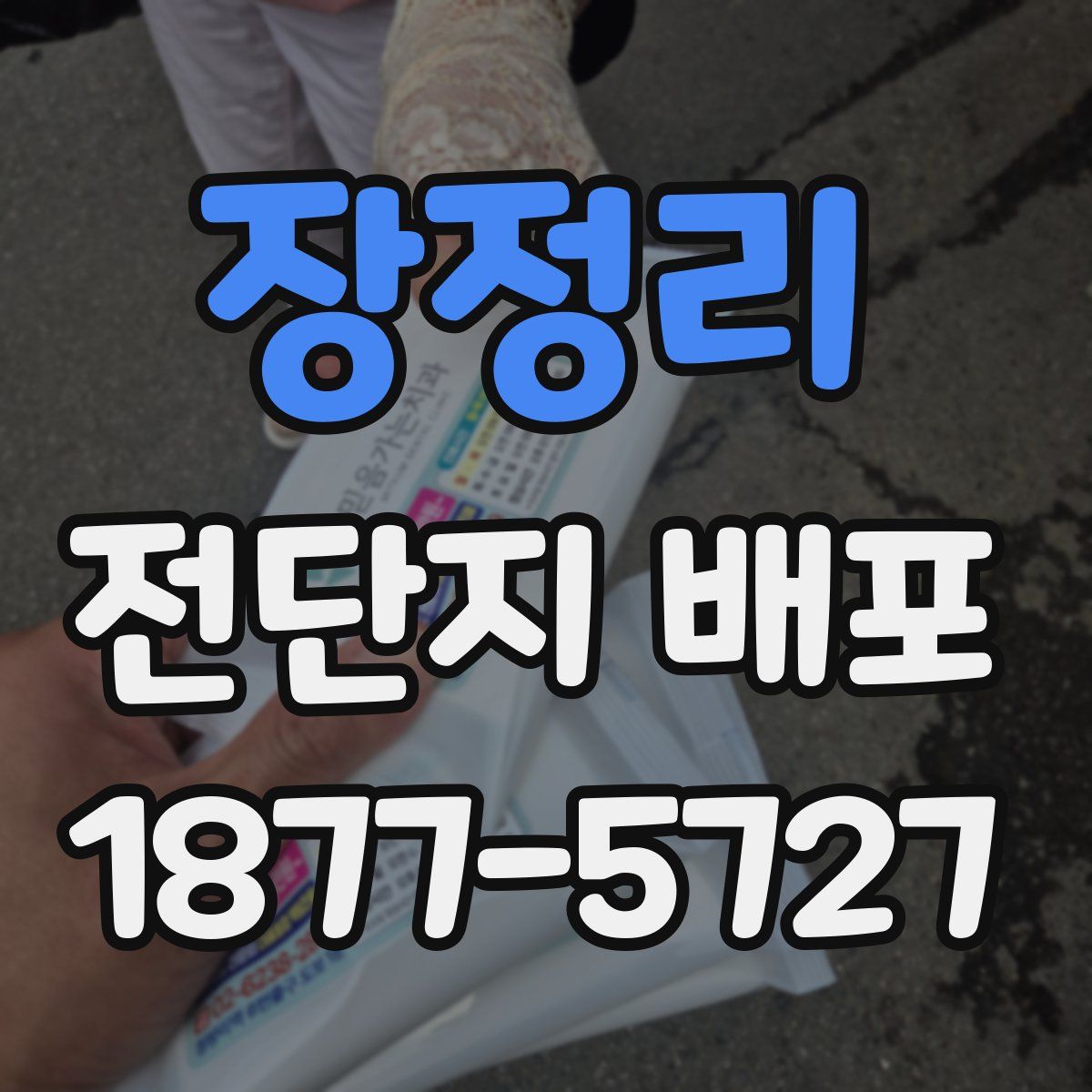 장정리 전단지 배포