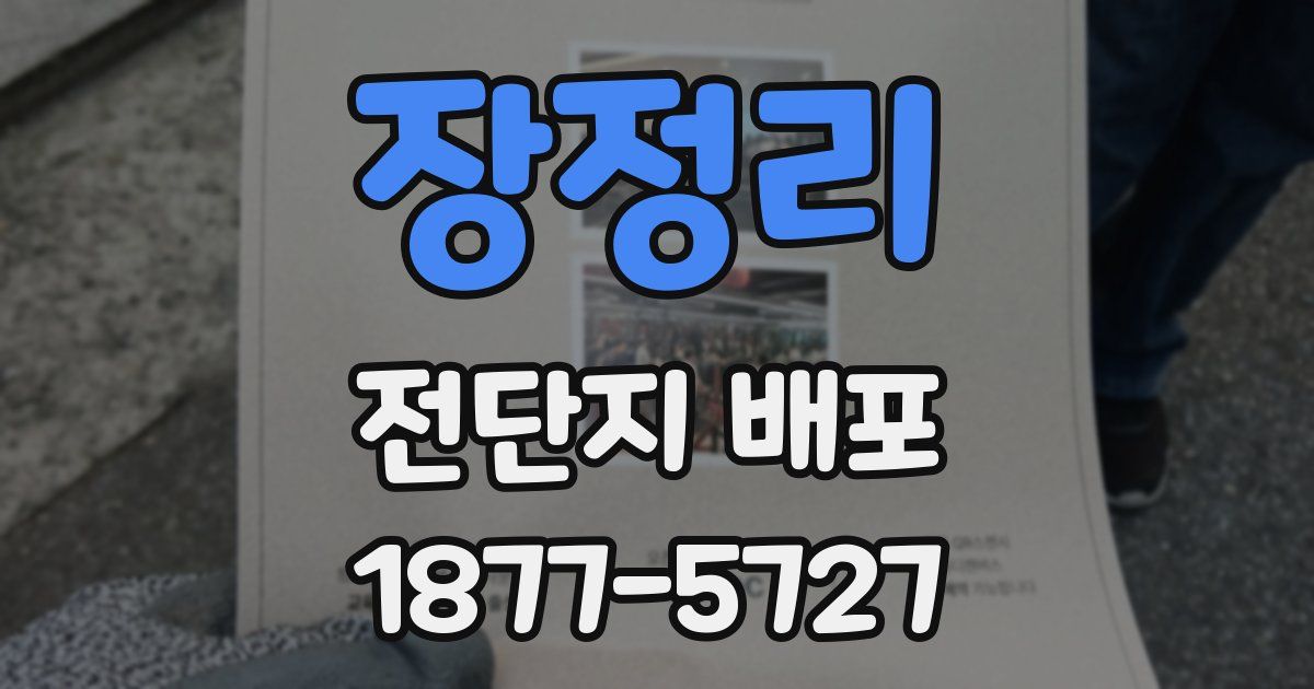 장정리 전단지 배포