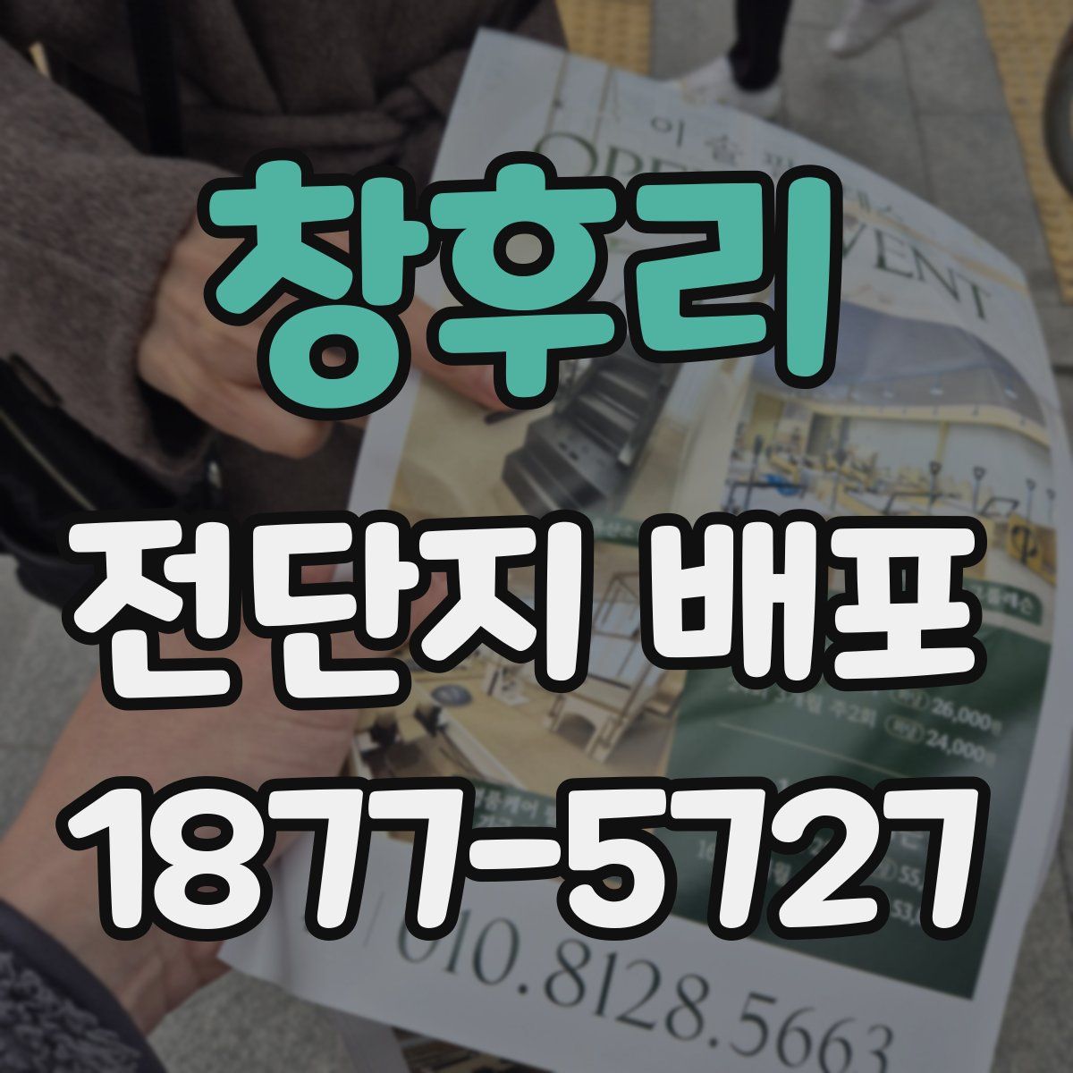창후리 전단지 배포