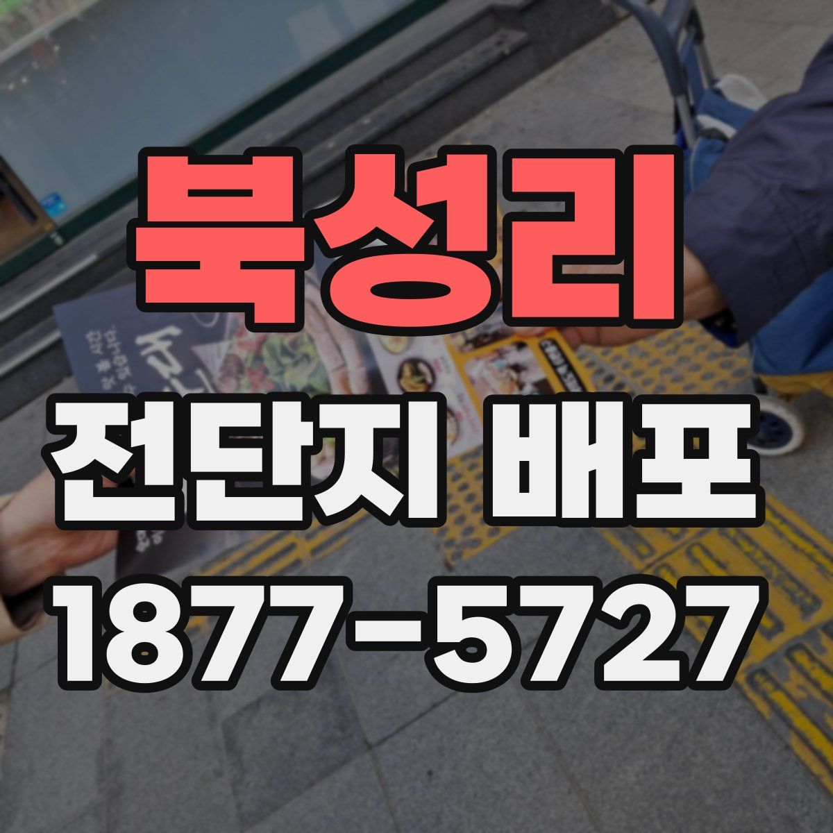 북성리 전단지 배포