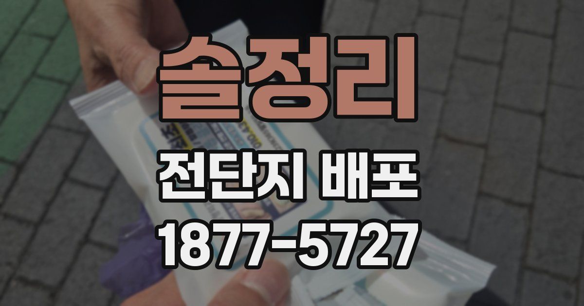 솔정리 전단지 배포