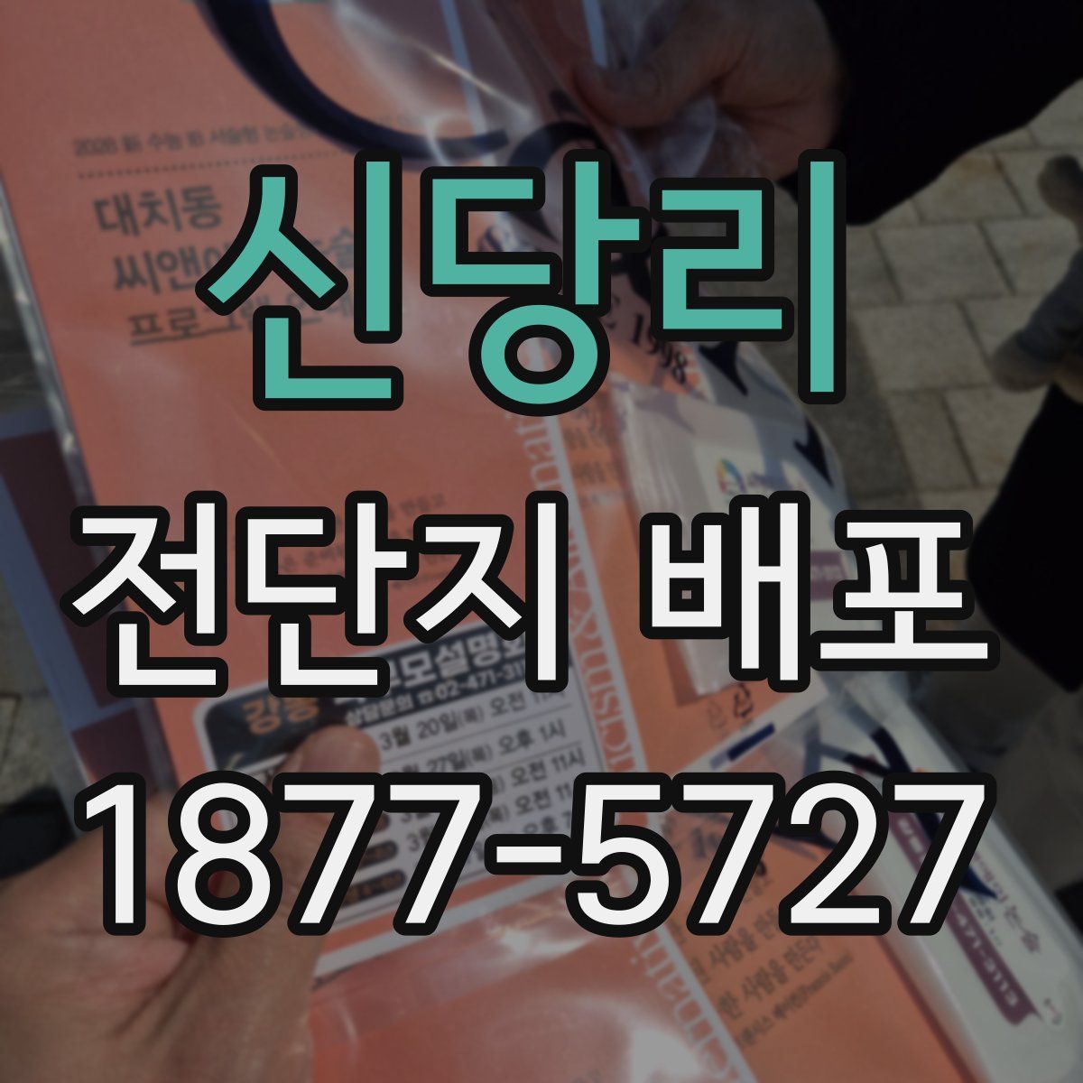신당리 전단지 배포