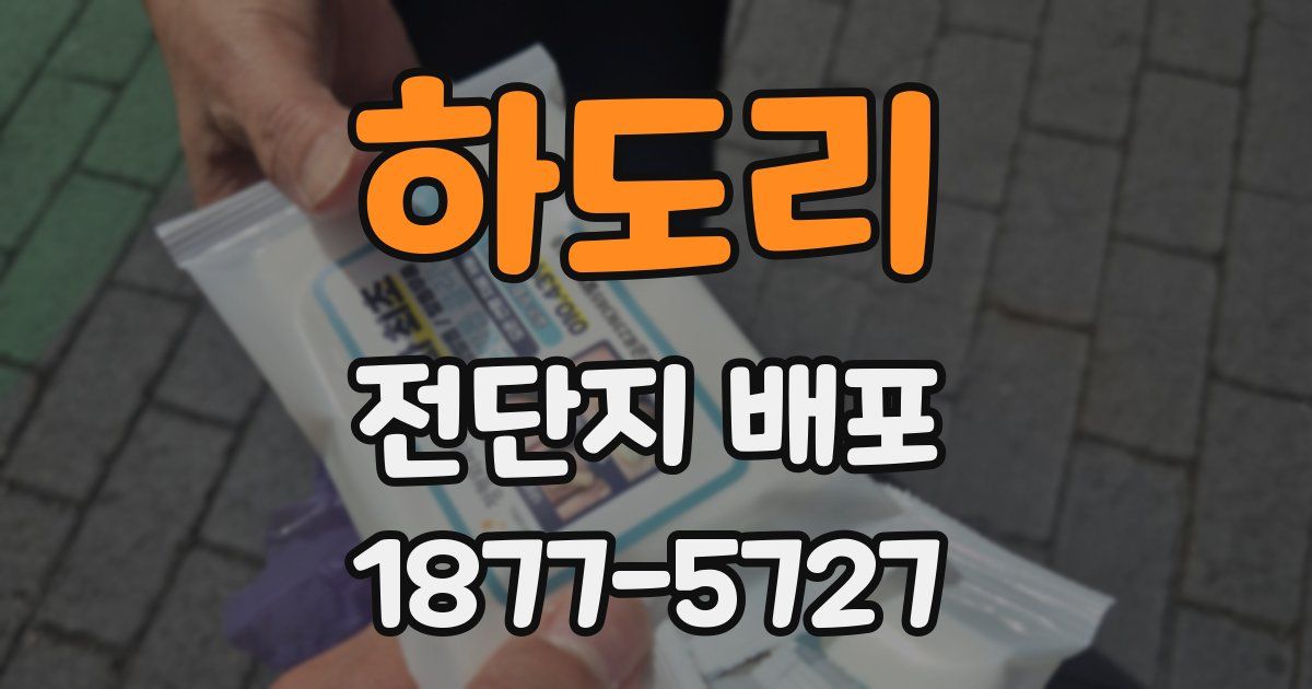 하도리 전단지 배포