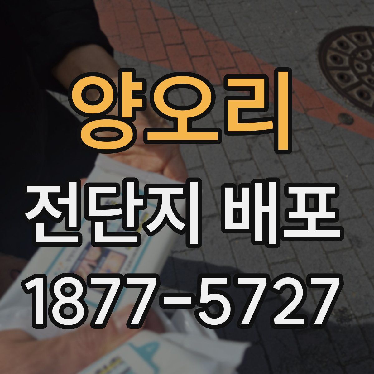 양오리 전단지 배포