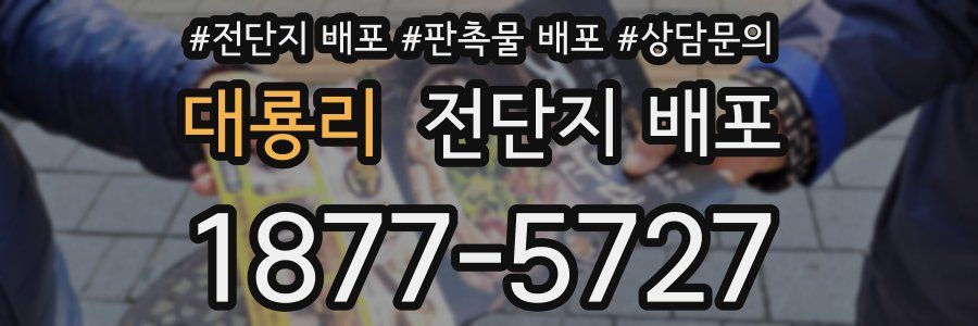 대룡리 전단지 배포