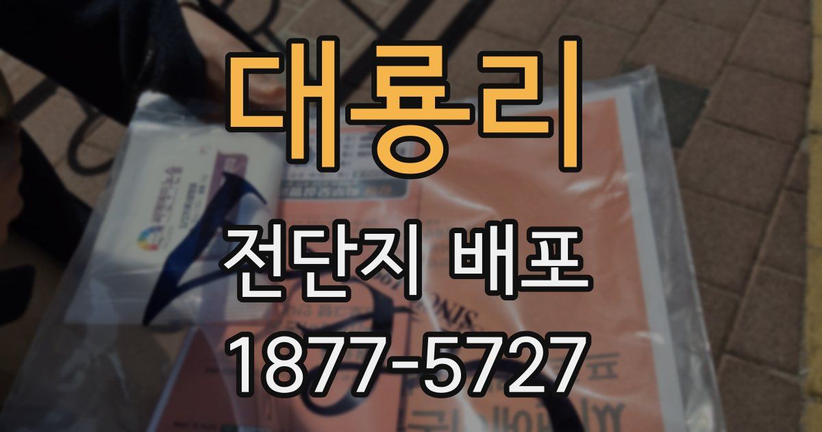 대룡리 전단지 배포