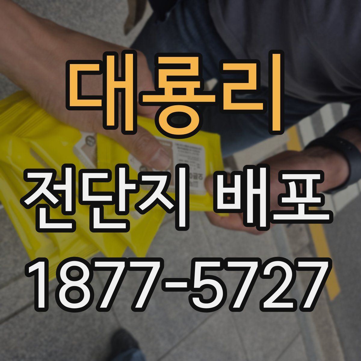 대룡리 전단지 배포