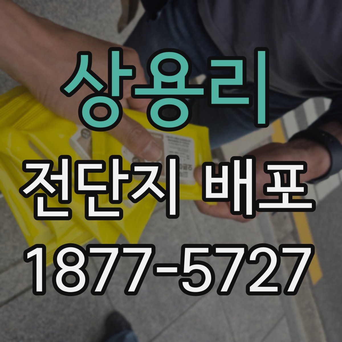 상용리 전단지 배포