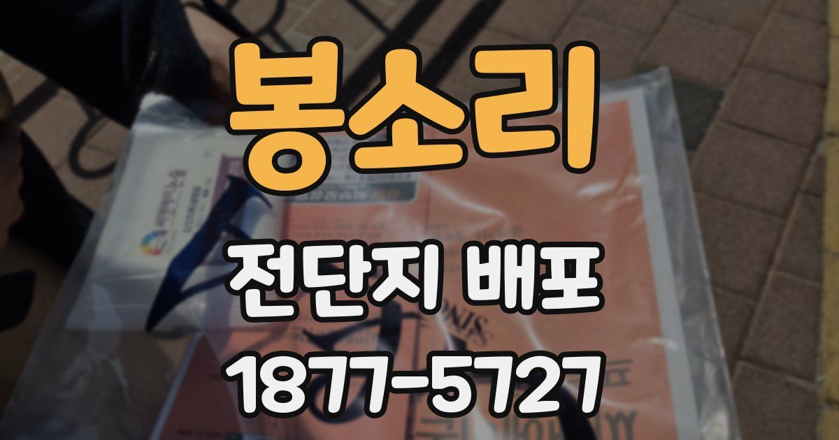 봉소리 전단지 배포