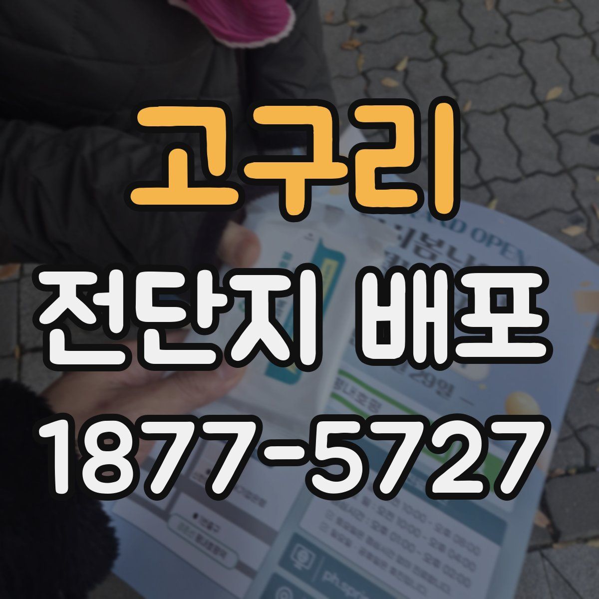 고구리 전단지 배포