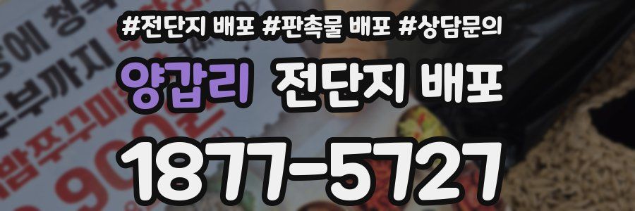 양갑리 전단지 배포