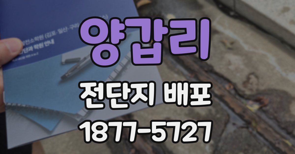 양갑리 전단지 배포