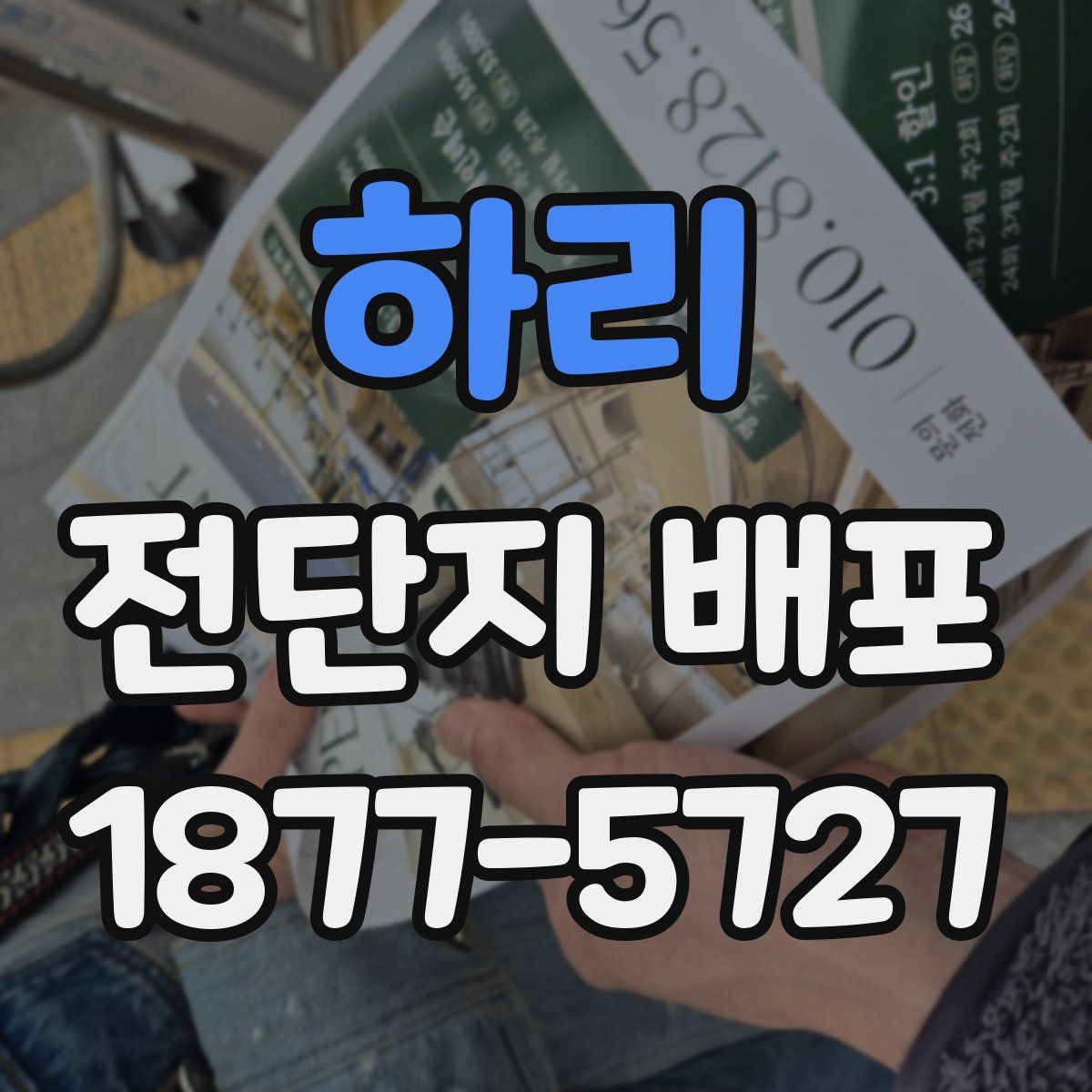 하리 전단지 배포