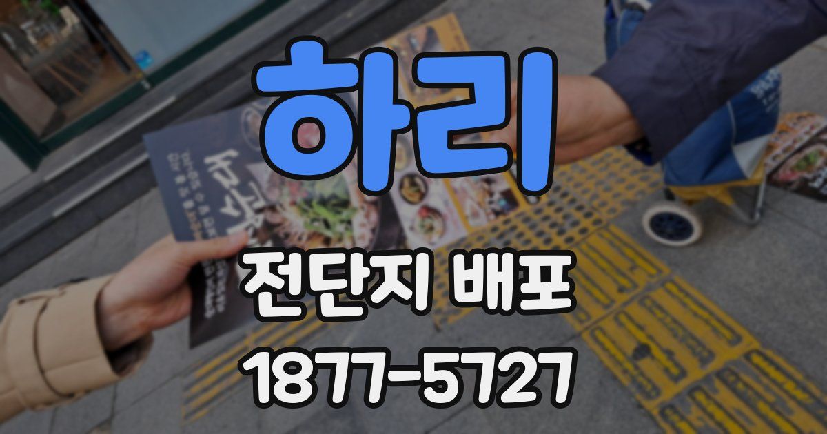 하리 전단지 배포