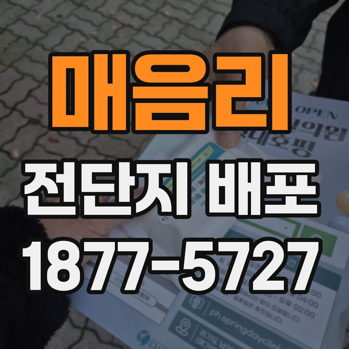 매음리 전단지 배포