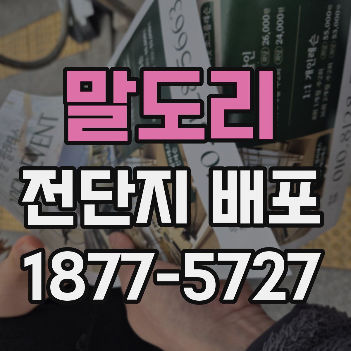 말도리 전단지 배포