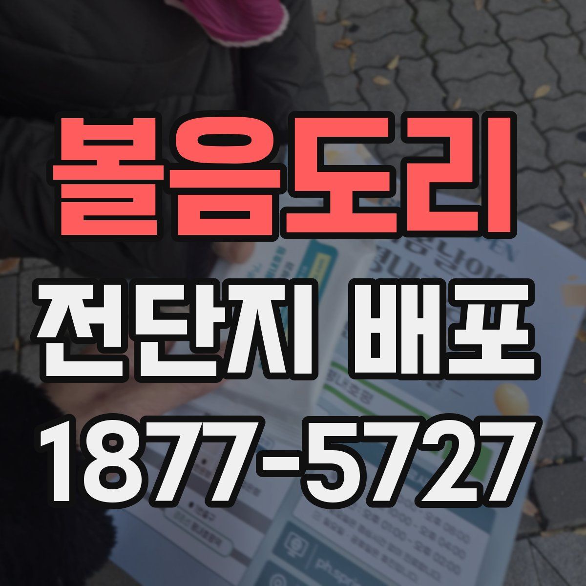 볼음도리 전단지 배포