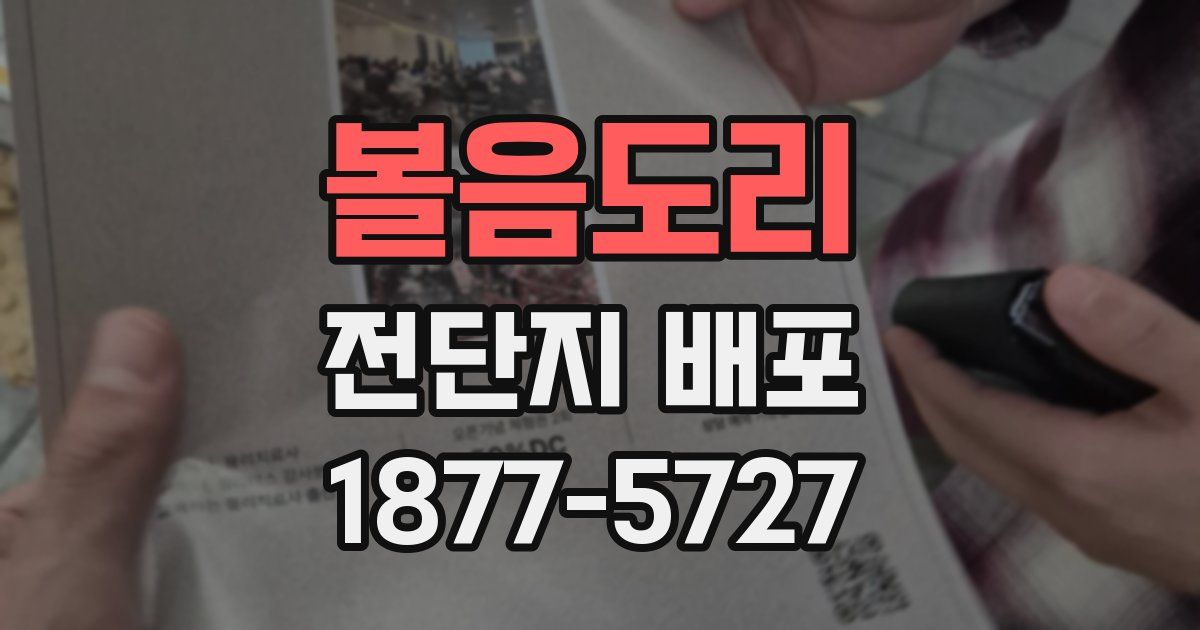 볼음도리 전단지 배포