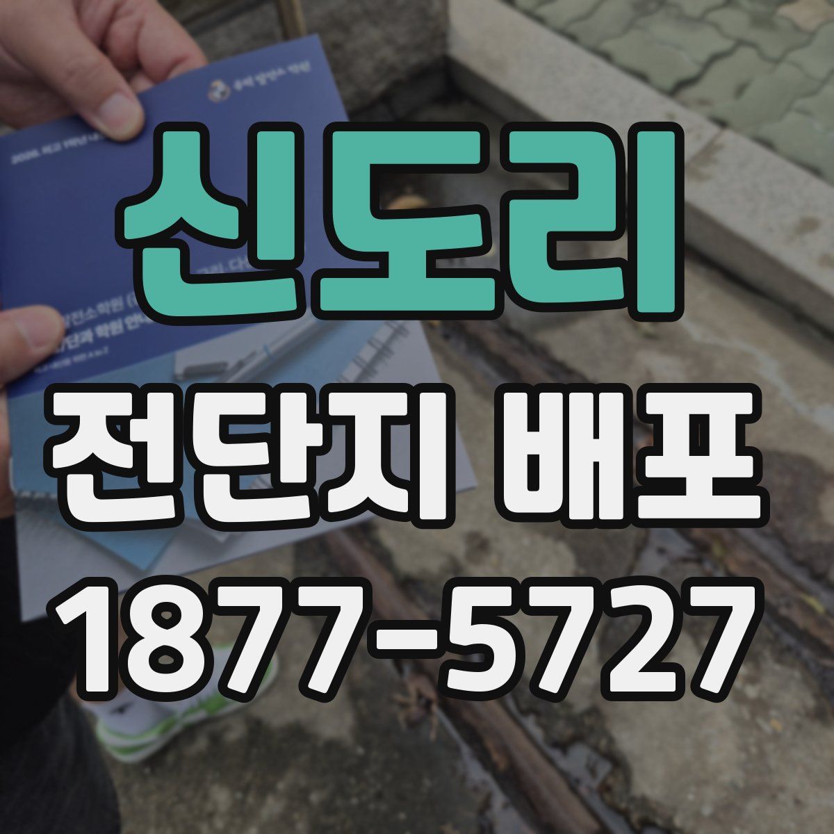 신도리 전단지 배포