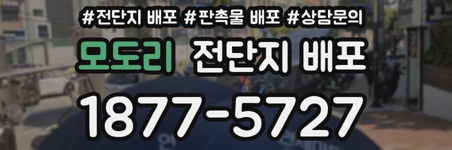 모도리 전단지 배포