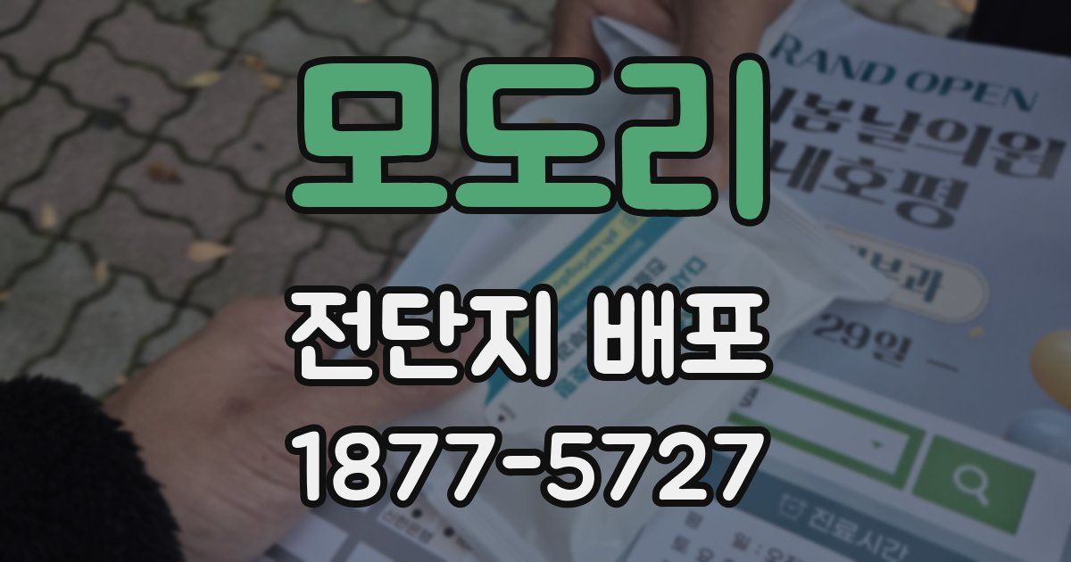 모도리 전단지 배포