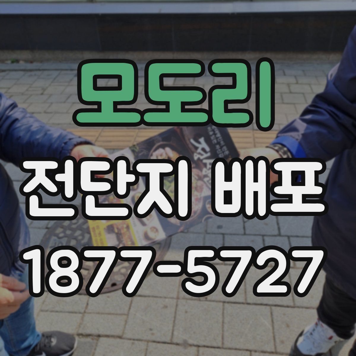 모도리 전단지 배포