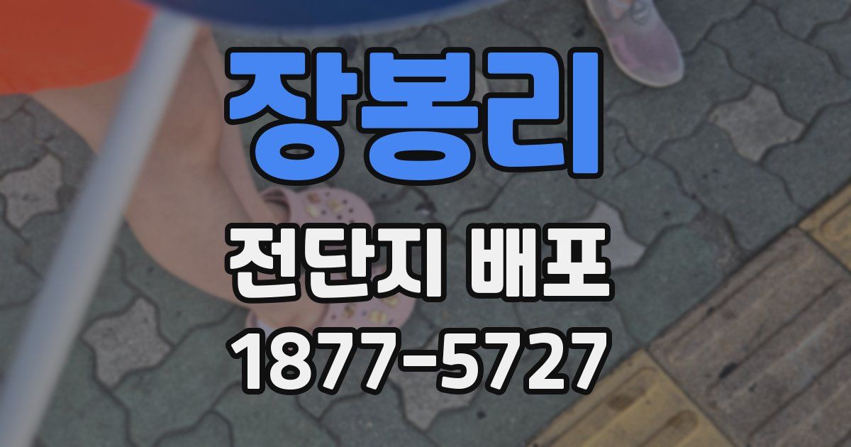 장봉리 전단지 배포