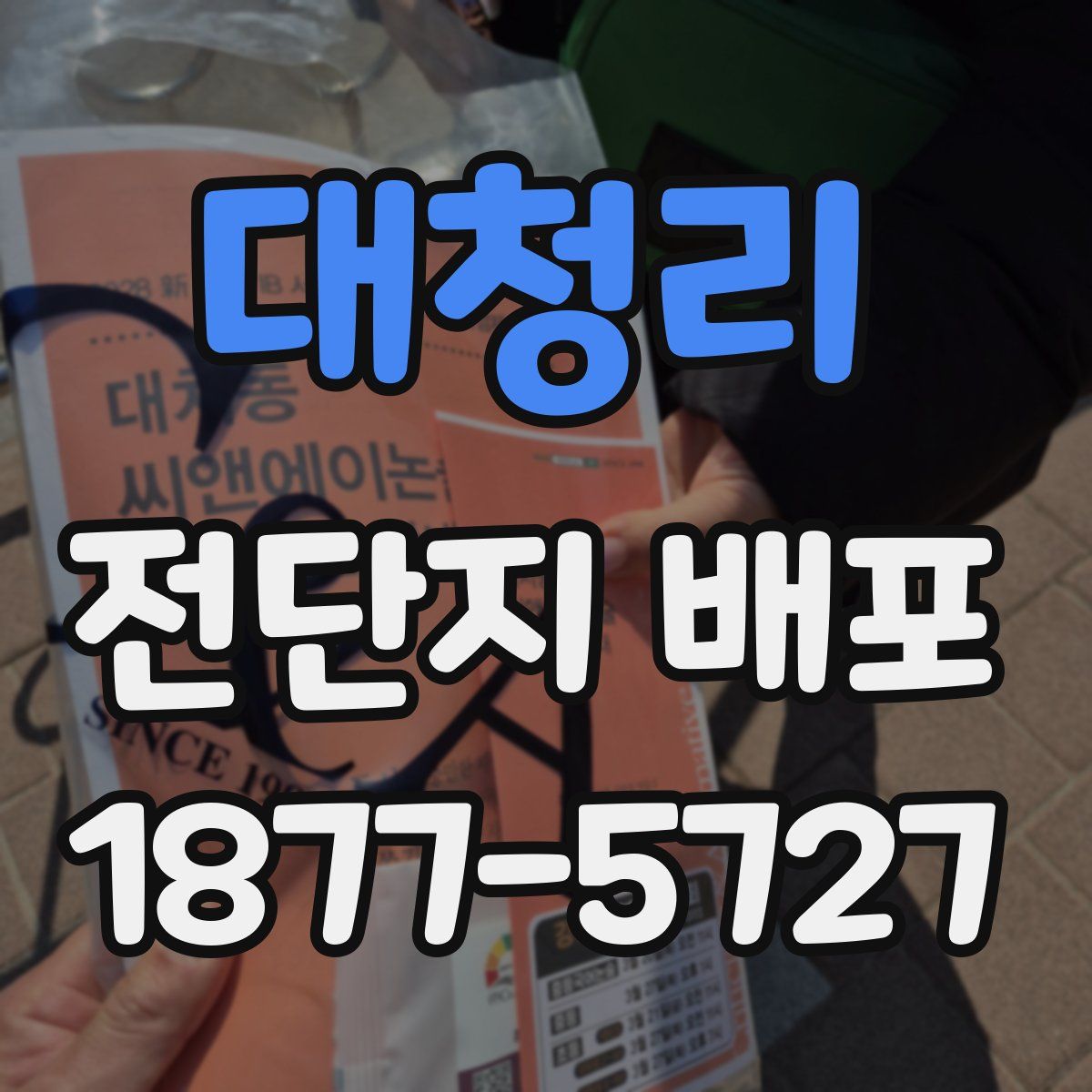 대청리 전단지 배포