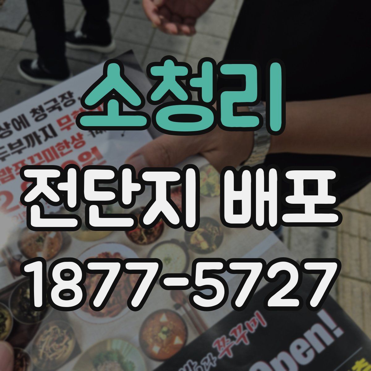 소청리 전단지 배포